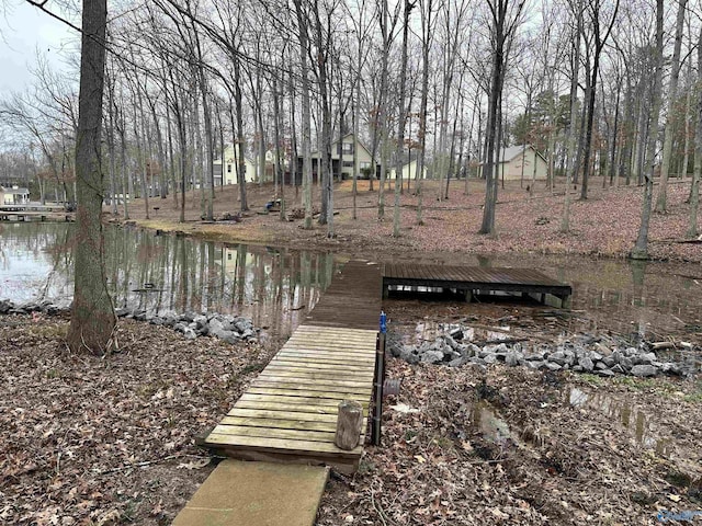 dock area with a water view