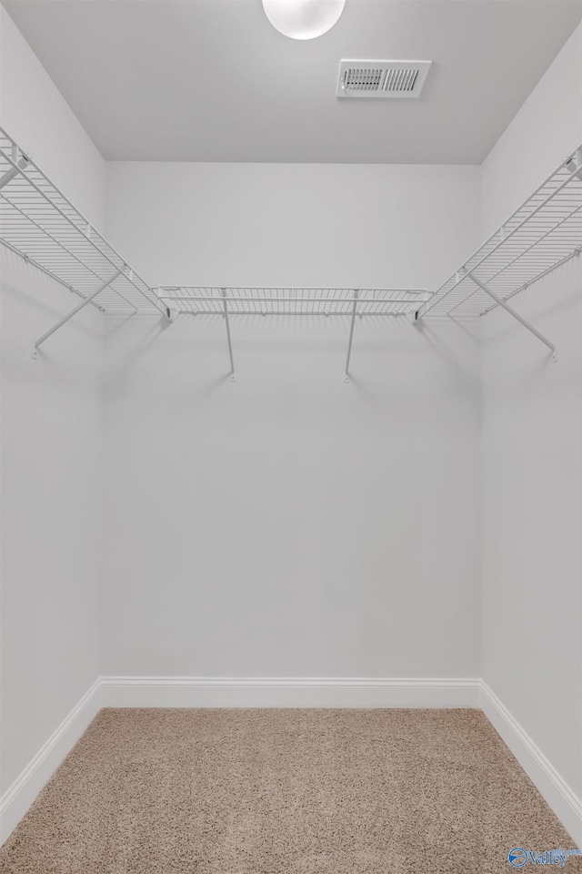 spacious closet featuring visible vents and light carpet