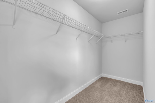 walk in closet with visible vents and carpet floors