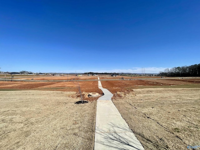 view of yard featuring a rural view