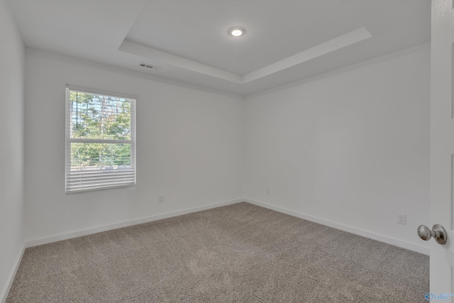 unfurnished room featuring carpet flooring and a raised ceiling