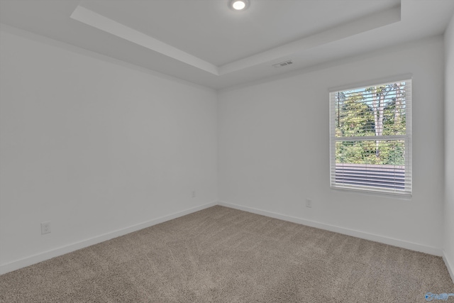 carpeted spare room featuring a tray ceiling