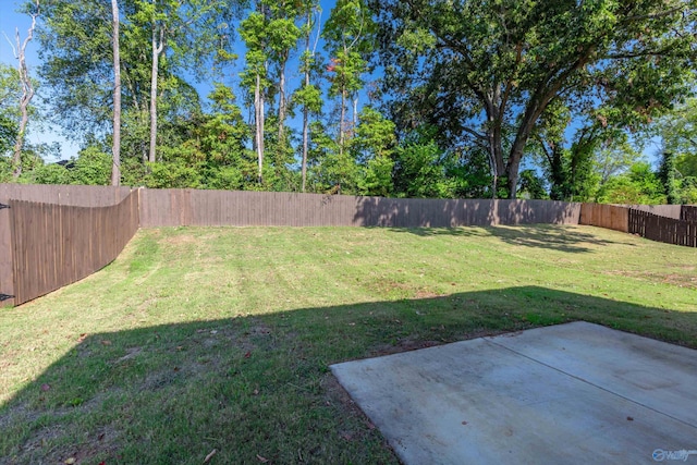 view of yard featuring a patio area