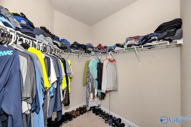 spacious closet with carpet flooring