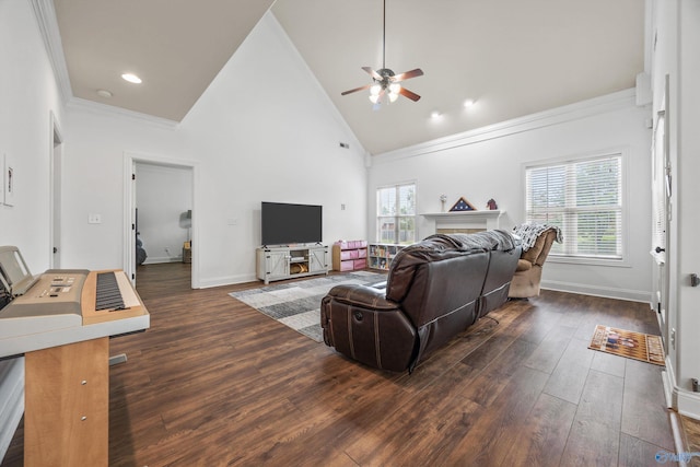 11 Nandina Ln SW, Huntsville, AL 35824 - living area with ceiling fan, dark wood-style flooring, high vaulted ceiling, baseboards, and crown molding