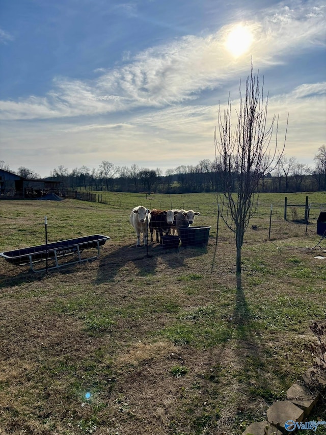 view of yard with fence and a rural view