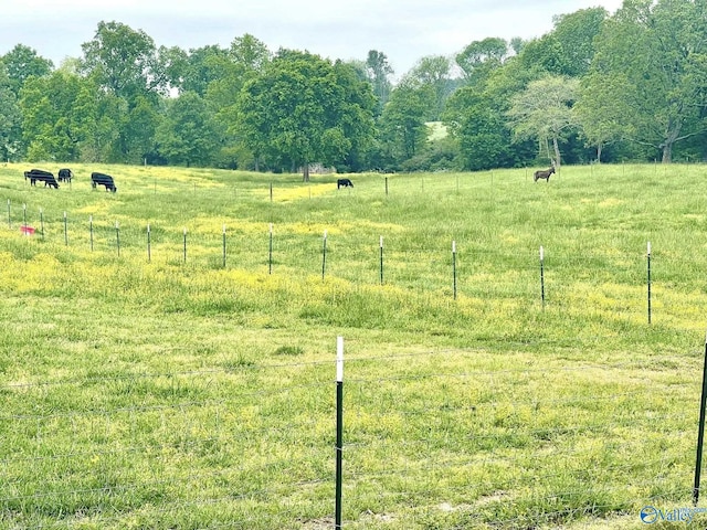 view of yard featuring fence and a rural view