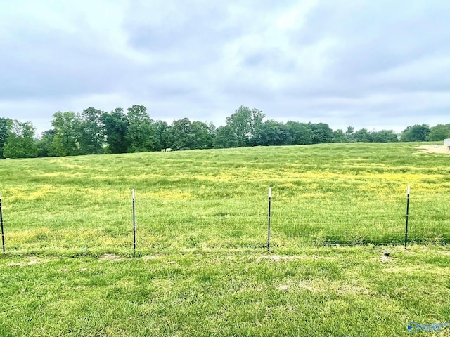 view of yard with fence and a rural view