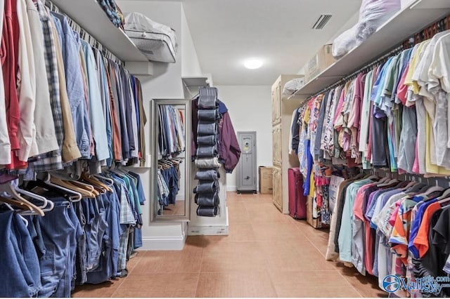 spacious closet with visible vents