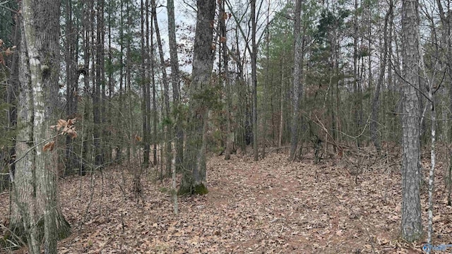 Listing photo 3 for 3.6ACRES Hough Rd, Laceys Spring AL 35754