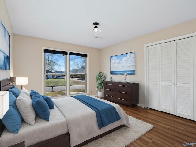 bedroom featuring dark wood-type flooring and a closet