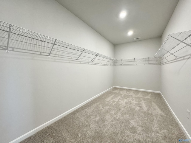 spacious closet featuring carpet flooring and visible vents