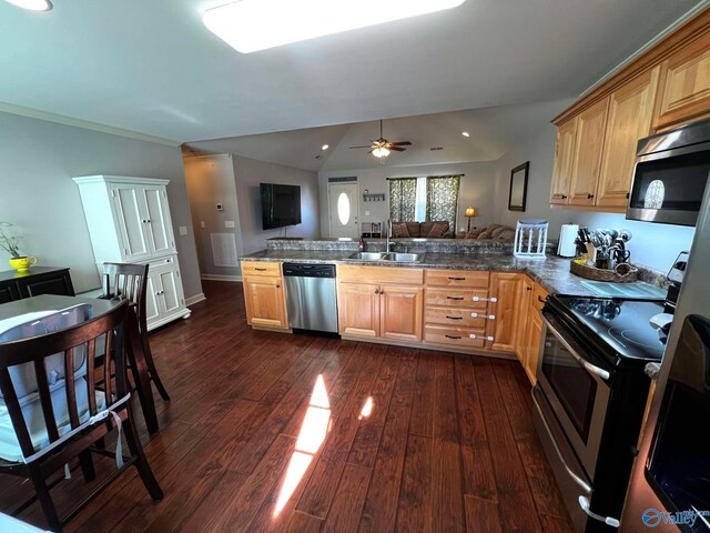 kitchen featuring stainless steel appliances, a peninsula, a sink, open floor plan, and dark wood-style floors