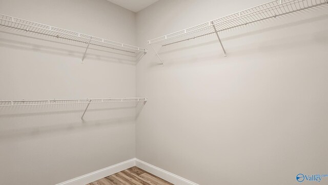 walk in closet featuring wood finished floors