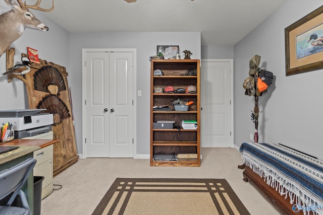 interior space with light colored carpet