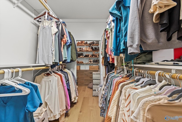 spacious closet with hardwood / wood-style flooring