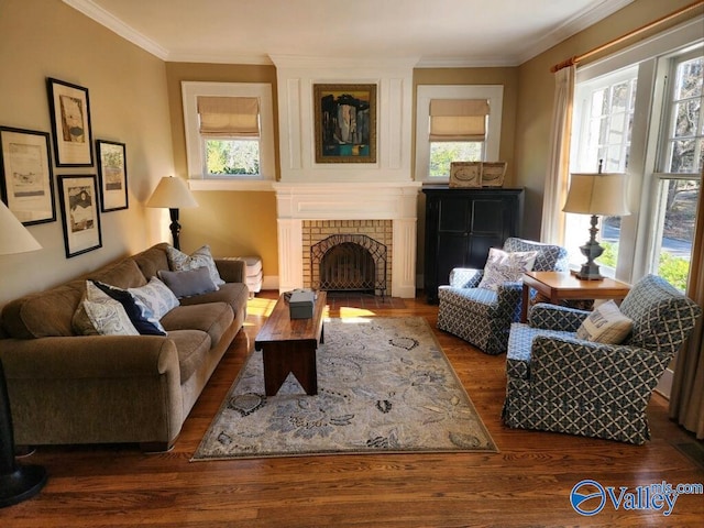 sitting room with hardwood / wood-style flooring, ornamental molding, and a fireplace