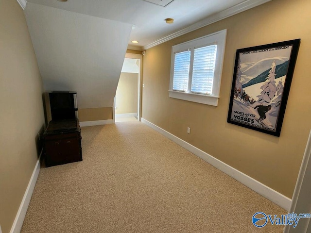 hall featuring ornamental molding and carpet