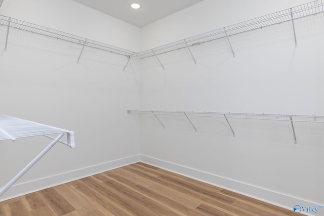 walk in closet featuring wood finished floors
