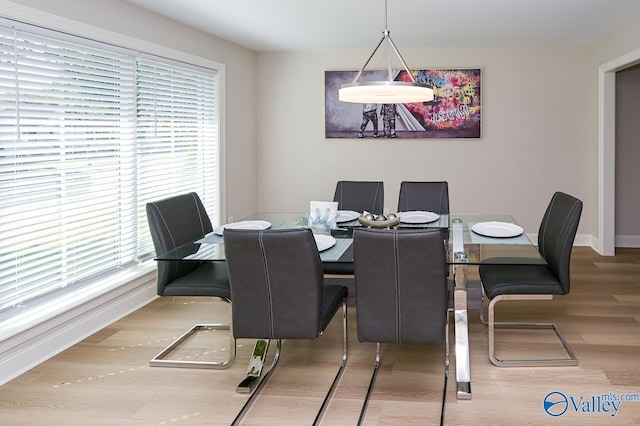 dining room featuring hardwood / wood-style flooring