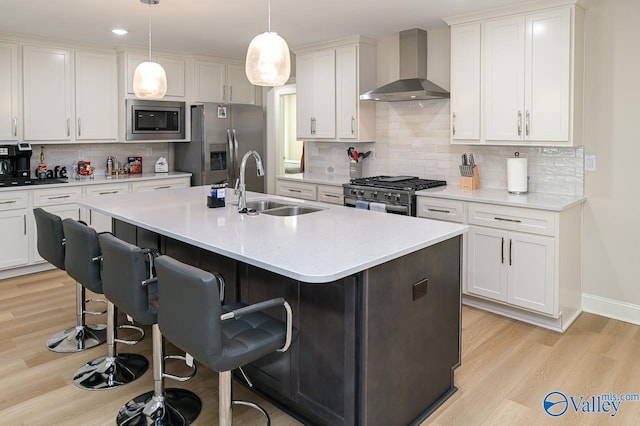 kitchen with white cabinetry, sink, wall chimney exhaust hood, and stainless steel appliances