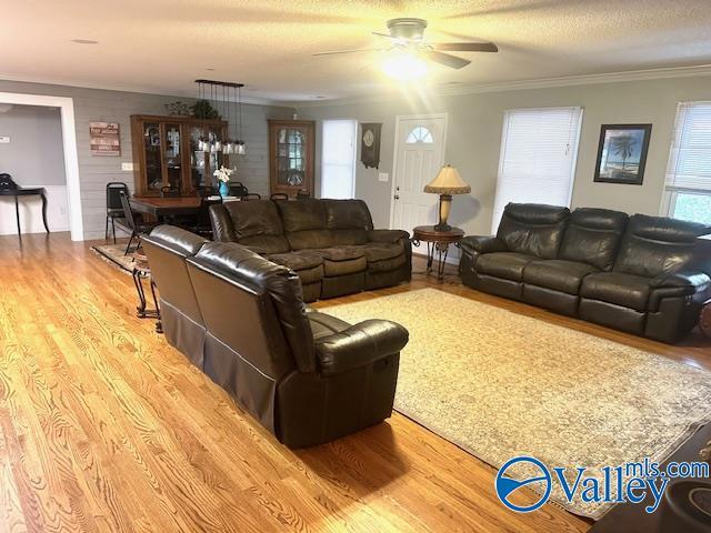 173 N Seneca Dr, Trinity, AL 35673 - living room featuring wood finished floors, ceiling fan, and crown molding