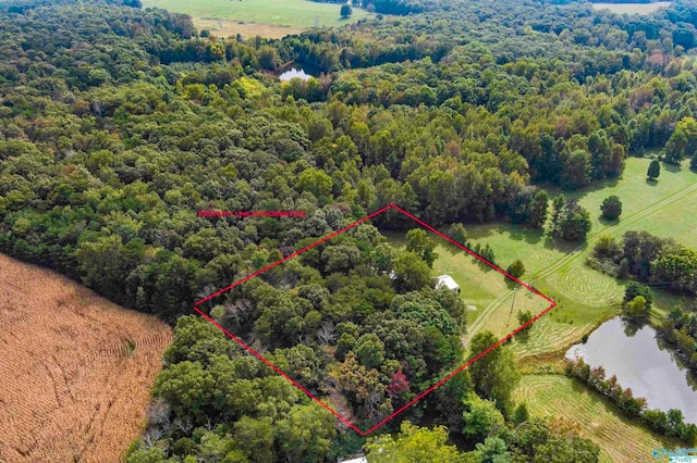 bird's eye view with a water view and a rural view