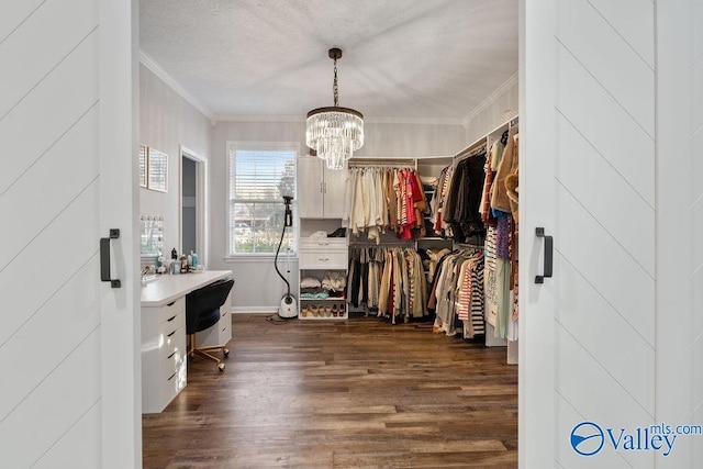 spacious closet with a chandelier and dark hardwood / wood-style floors