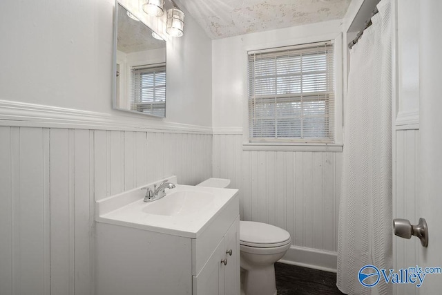 bathroom featuring toilet, wood walls, and vanity