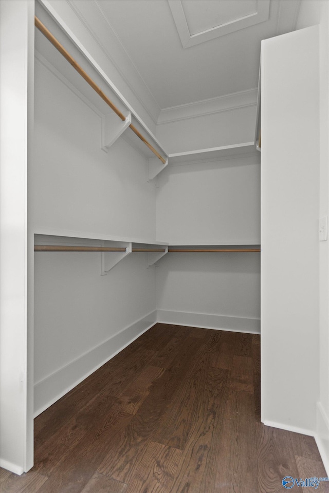 22692 Gunner Cir, Athens, AL 35613 - walk in closet with wood finished floors and attic access