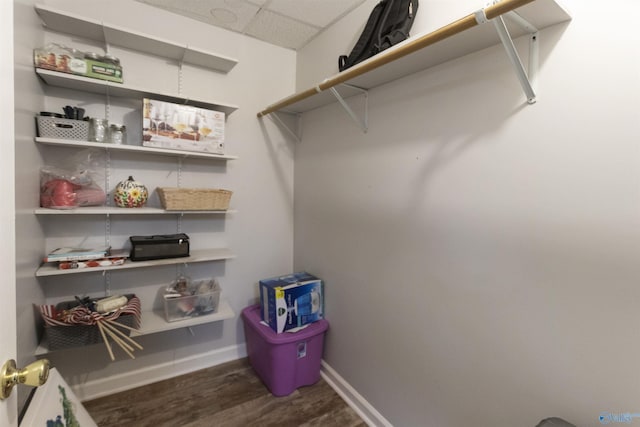 walk in closet with a drop ceiling and dark wood-type flooring