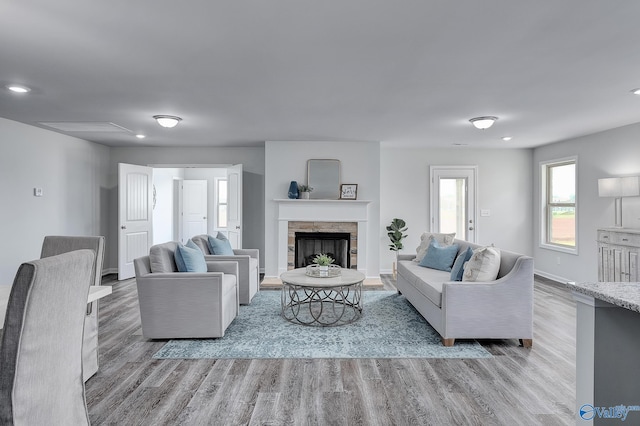 living room with a fireplace and wood-type flooring