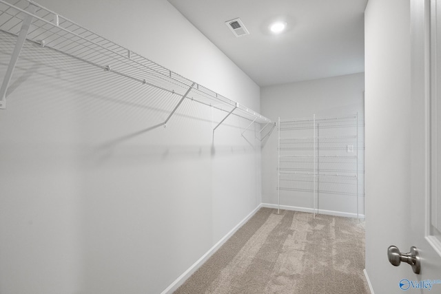 spacious closet with carpet flooring and visible vents