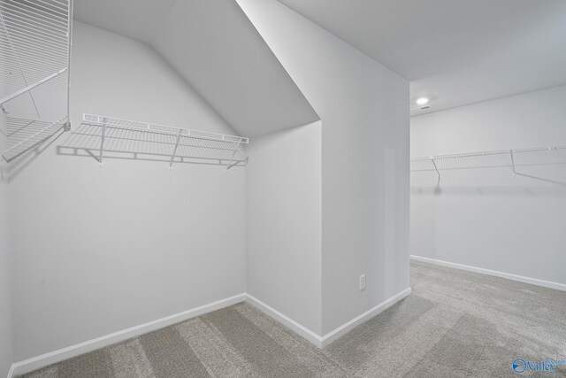 spacious closet featuring carpet floors