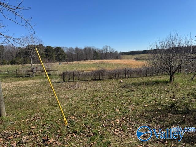 view of yard with fence and a rural view