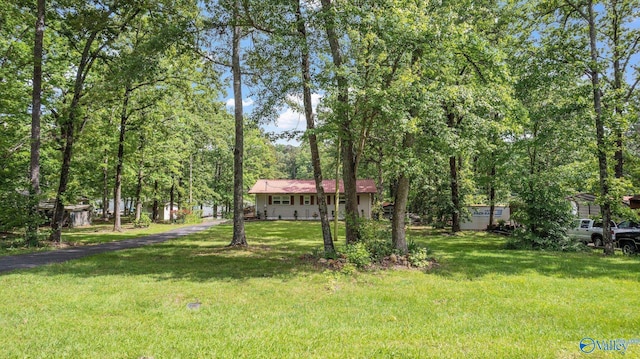 view of yard