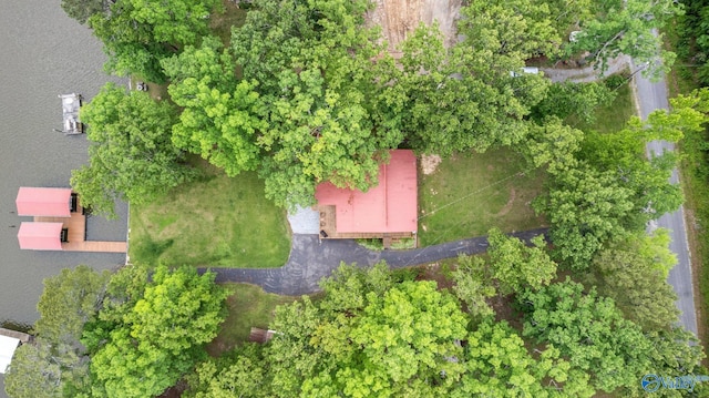 aerial view