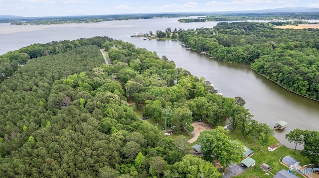 drone / aerial view with a wooded view and a water view