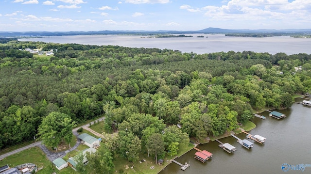 drone / aerial view featuring a forest view and a water view
