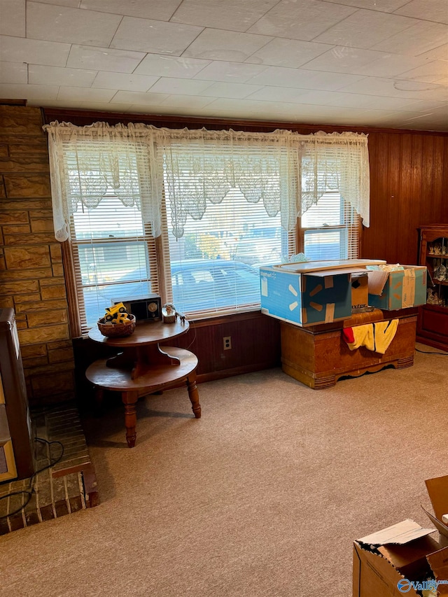 interior space featuring wood walls, carpet, and a wealth of natural light