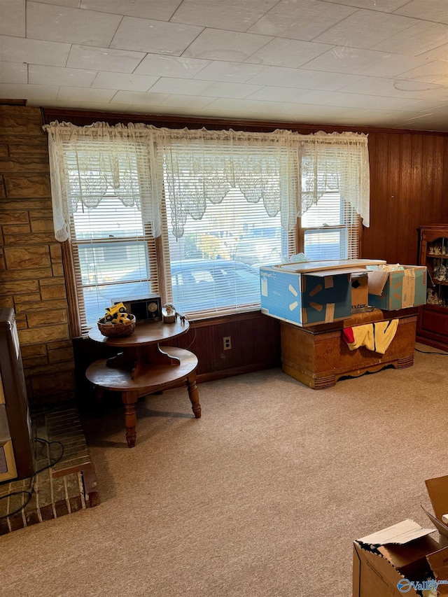 interior space with carpet floors and wooden walls