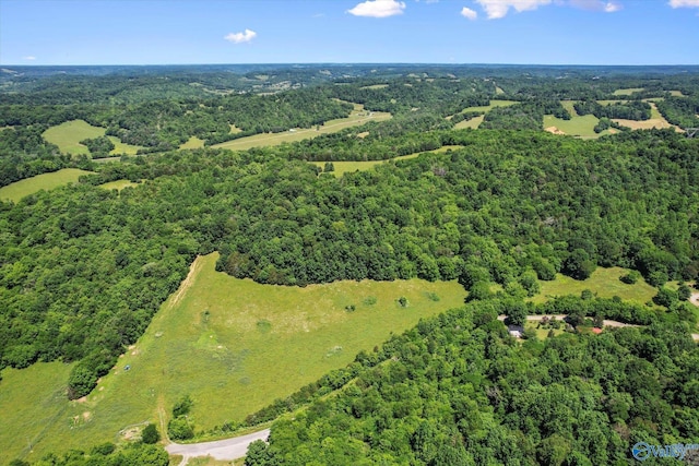 108 Carpenter Rd, Dellrose, TN 38453