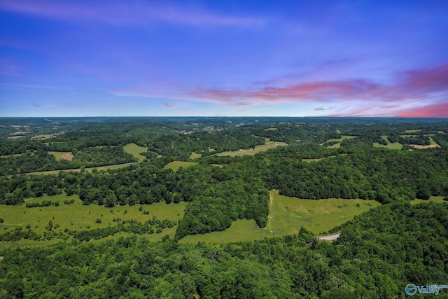 108 Carpenter Rd, Dellrose, TN 38453