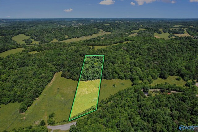 108 Carpenter Rd, Dellrose, TN 38453