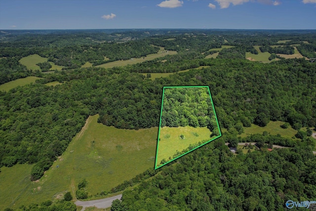 108 Carpenter Rd, Dellrose, TN 38453