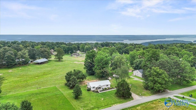 1760 Horseshoe Bend Rd, Scottsboro, AL 35769 - drone / aerial view of a large body of water