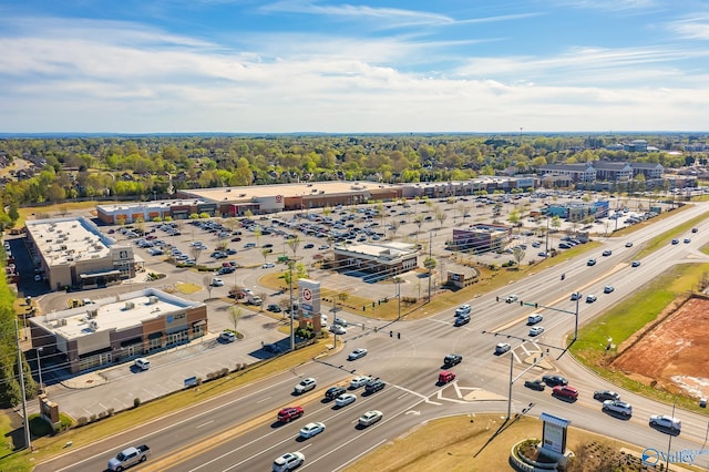 drone / aerial view