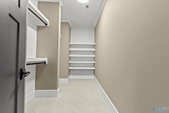 spacious closet with light colored carpet