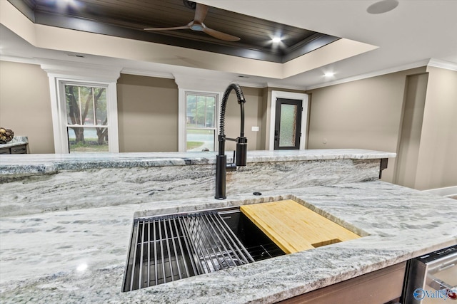 room details with sink, crown molding, ceiling fan, a tray ceiling, and stainless steel dishwasher