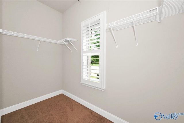 5 Leyland Dr, Huntsville, AL 35824 - spacious closet featuring carpet floors